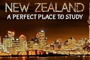 Chính sách xét Visa du học New Zealand