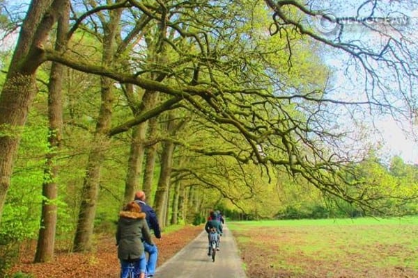 Công viên Park Hoge Veluwe nổi tiếng nhất Hà Lan