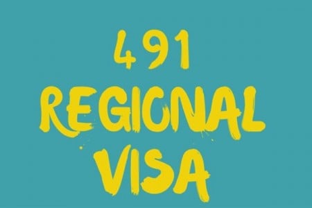 Visa 491