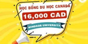 Học bổng 16,000 CAD/năm từ trường Đại học Windsor