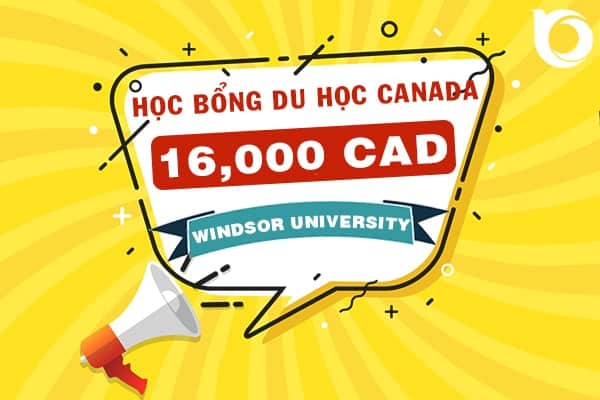 Học bổng 16,000 CAD/năm từ trường Đại học Windsor