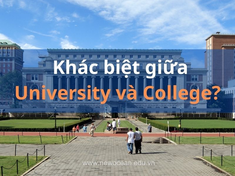 Phân biệt University và College