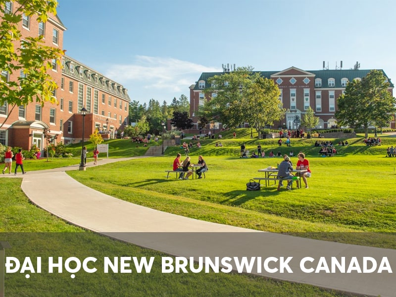 Đại học New Brunswick Canada
