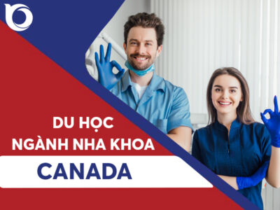 Du học ngành nha khoa tại Canada