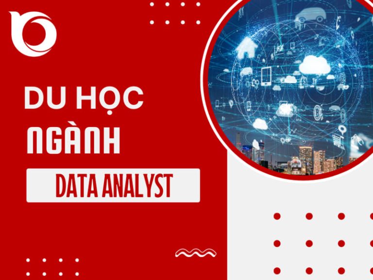 Ngành Data Analyst