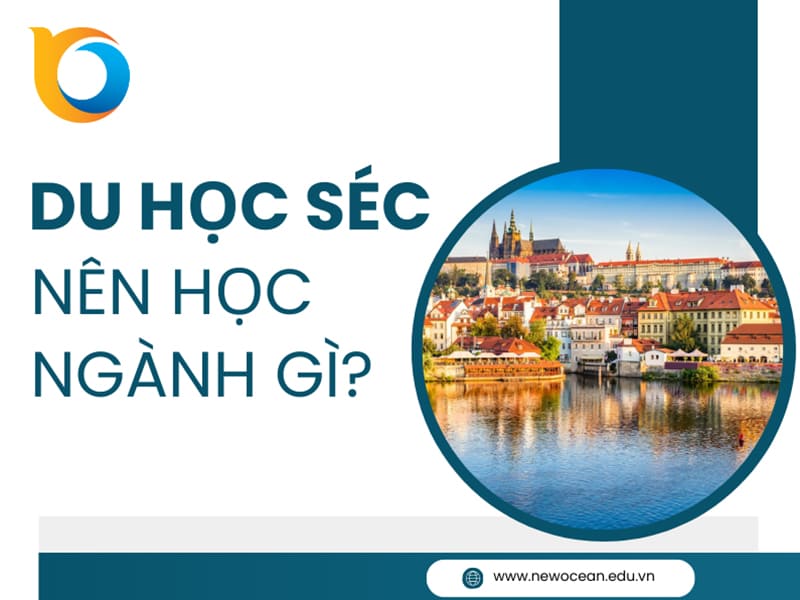 Du học Séc nên học ngành gì? Nhóm ngành kinh tế
