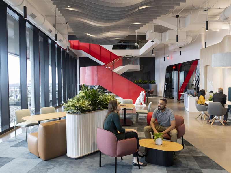 Chương trình đào tạo tại Đại học Northeastern University