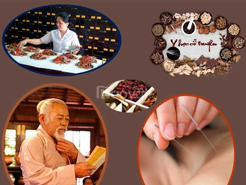 Chi phí du học Trung Quốc ngành y học cổ truyền