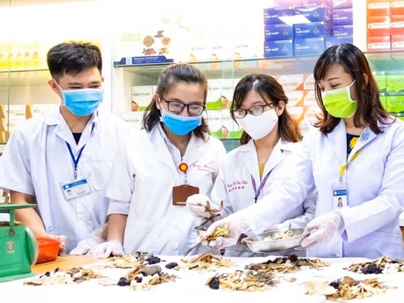 Cơ hội nghề nghiệp sau khi du học Trung Quốc ngành y học cổ truyền