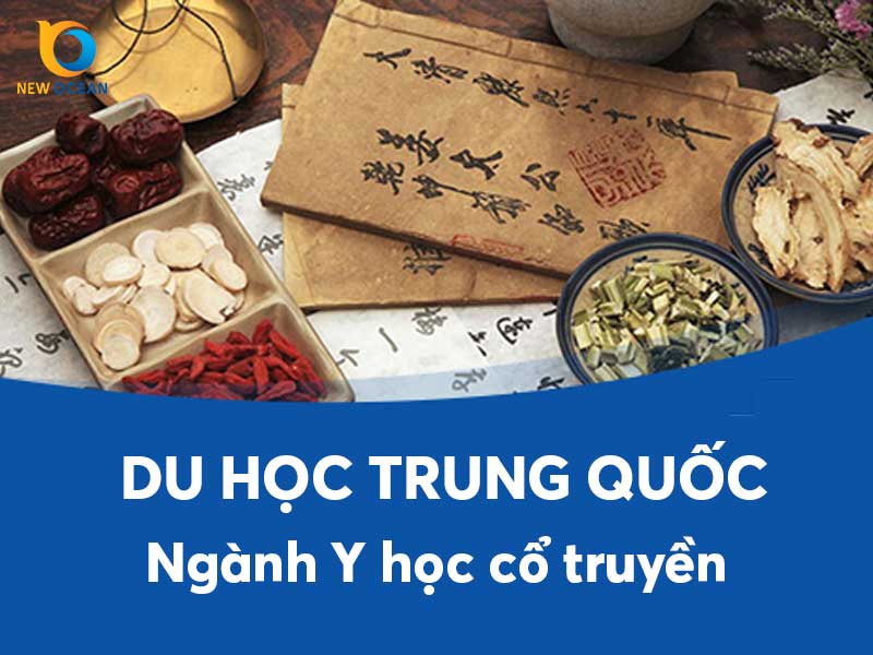 Du học Trung Quốc ngành y học cổ truyền