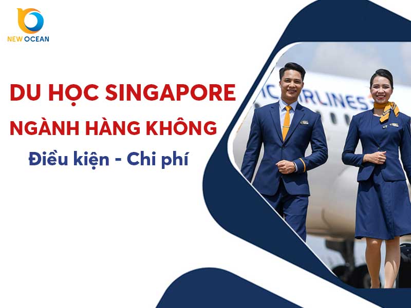 Du học Singapore ngành hàng không