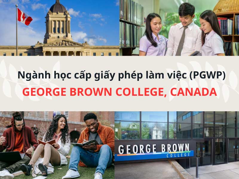 Ngành học cấp giấy phép làm việc (PGWP) tại George Brown College