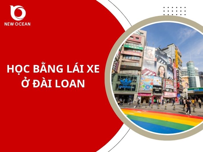 Học bằng lái xe ở Đài Loan: Điều kiện, quy trình & kinh nghiệm