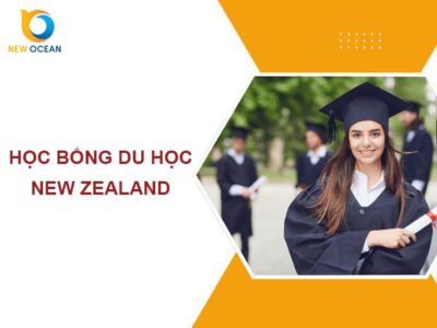 Học bổng du học New Zealand: Điều kiện, hồ sơ, kinh nghiệm