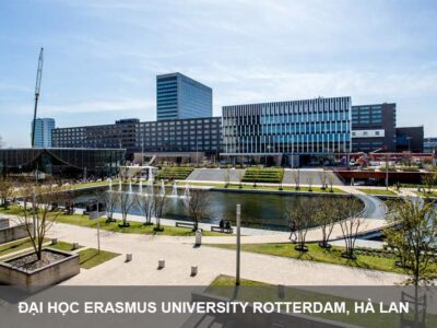 Đại học Erasmus University Rotterdam: Chương trình, chi phí