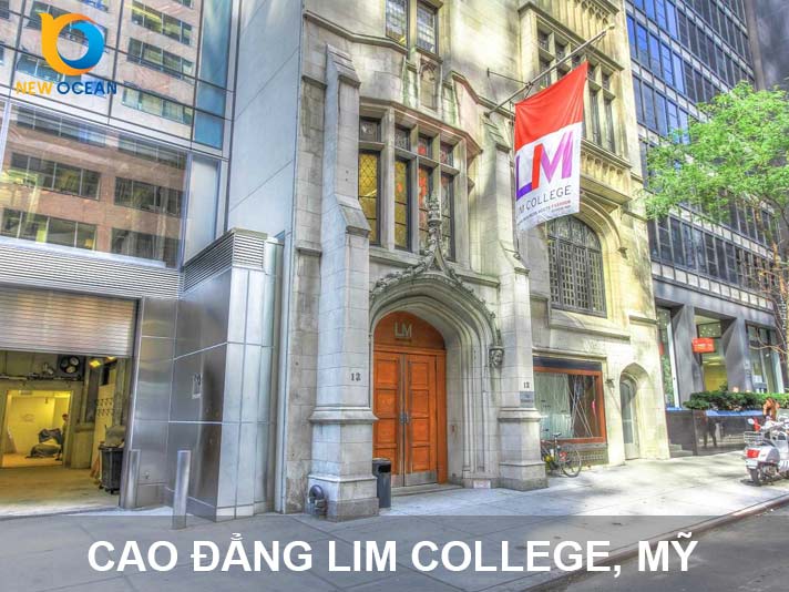 Cao đẳng LIM College: Điều kiện, Chương trình & Chi phí