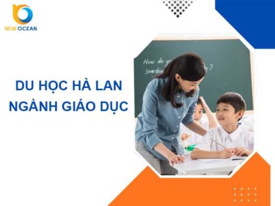 Du học Hà Lan ngành giáo dục: Chương trình, Điều kiện, Chi phí