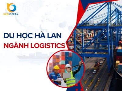 Du học Hà Lan ngành logistics: Điều kiện, Chi phí