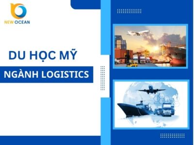 Khám phá tiềm năng du học Mỹ ngành logistics