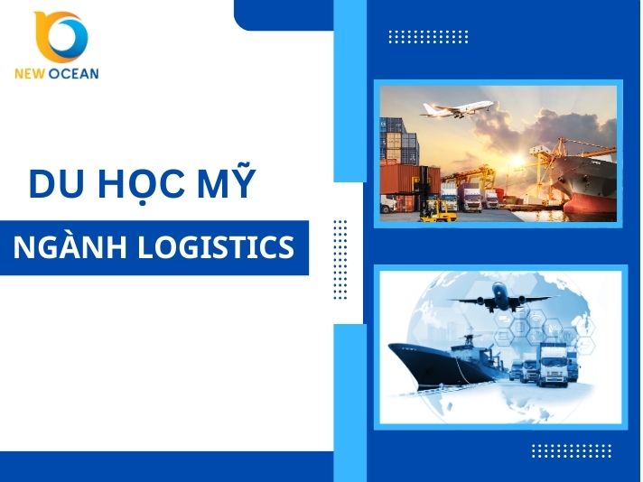 Khám phá tiềm năng du học Mỹ ngành logistics