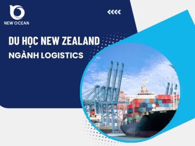 Tiềm năng du học New Zealand ngành logistics