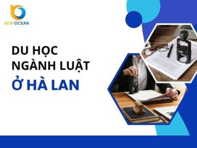 Du học ngành luật ở Hà Lan: Hướng dẫn toàn diện 2026