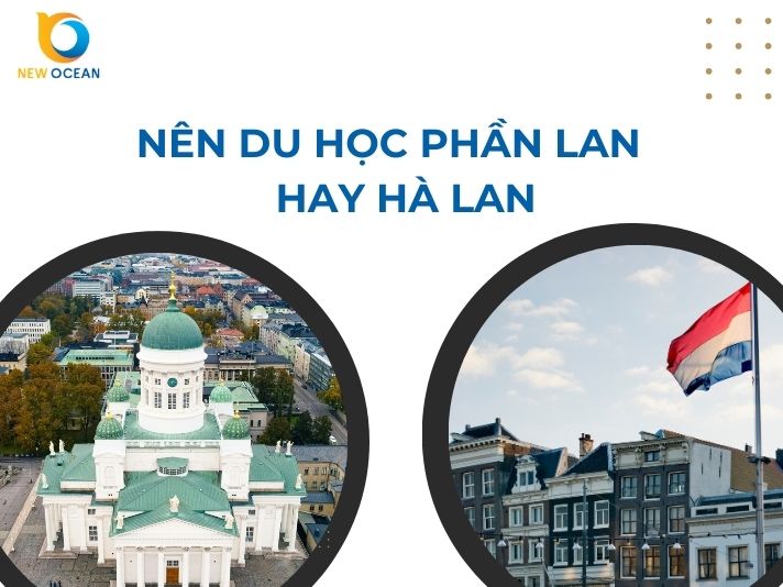Nên chọn du học Phần Lan Hà Lan? Phân tích toàn diện