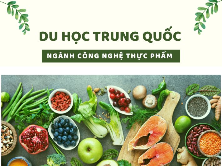 Du học Trung Quốc ngành công nghệ thực phẩm: Điều kiện & Chi phí