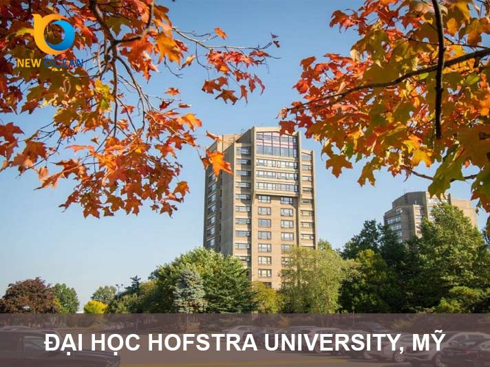 Đại học Hofstra University, Mỹ: Chi phí, Điều kiện & Cơ hội