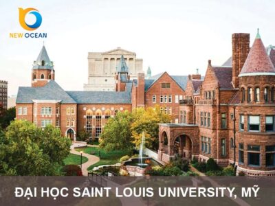 Đại học Saint Louis University, Mỹ: Chi phí, Điều kiện & Cơ hội