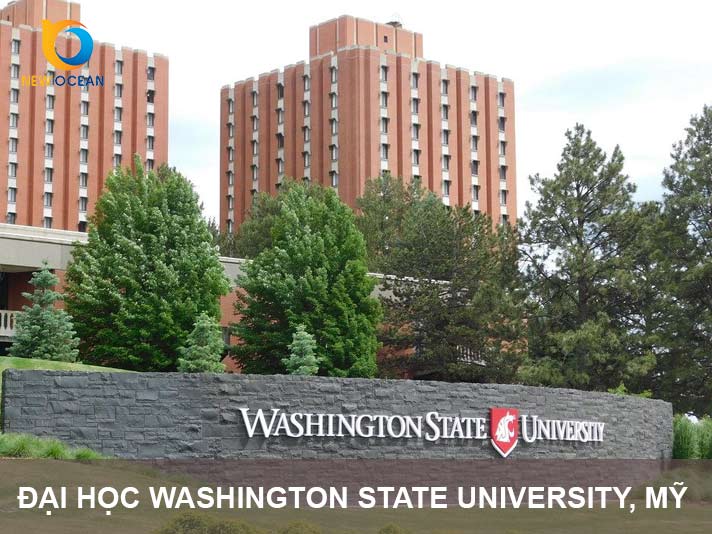 Đại học Washington State University, Mỹ