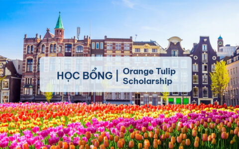 Học bổng Orange Tulip Scholarship Hà Lan